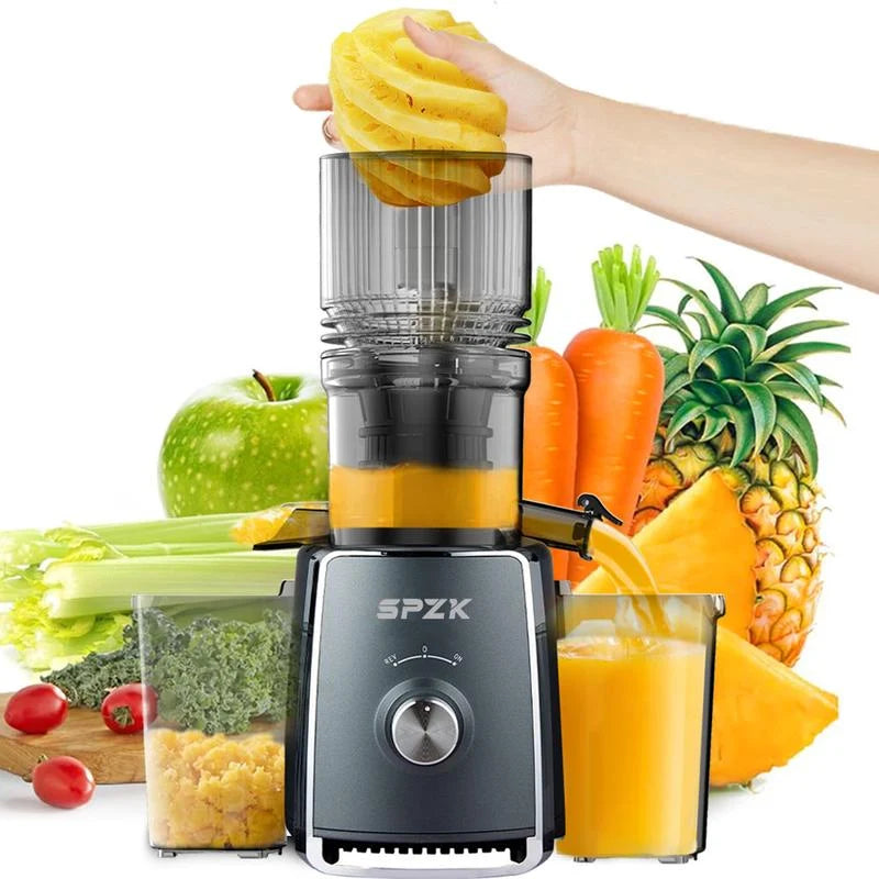 Extracteur de Jus à Presse Froide 300W