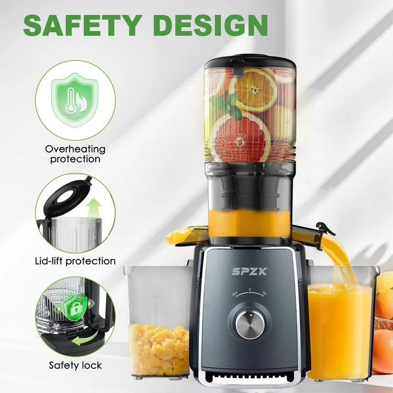 Extracteur de Jus à Presse Froide 300W